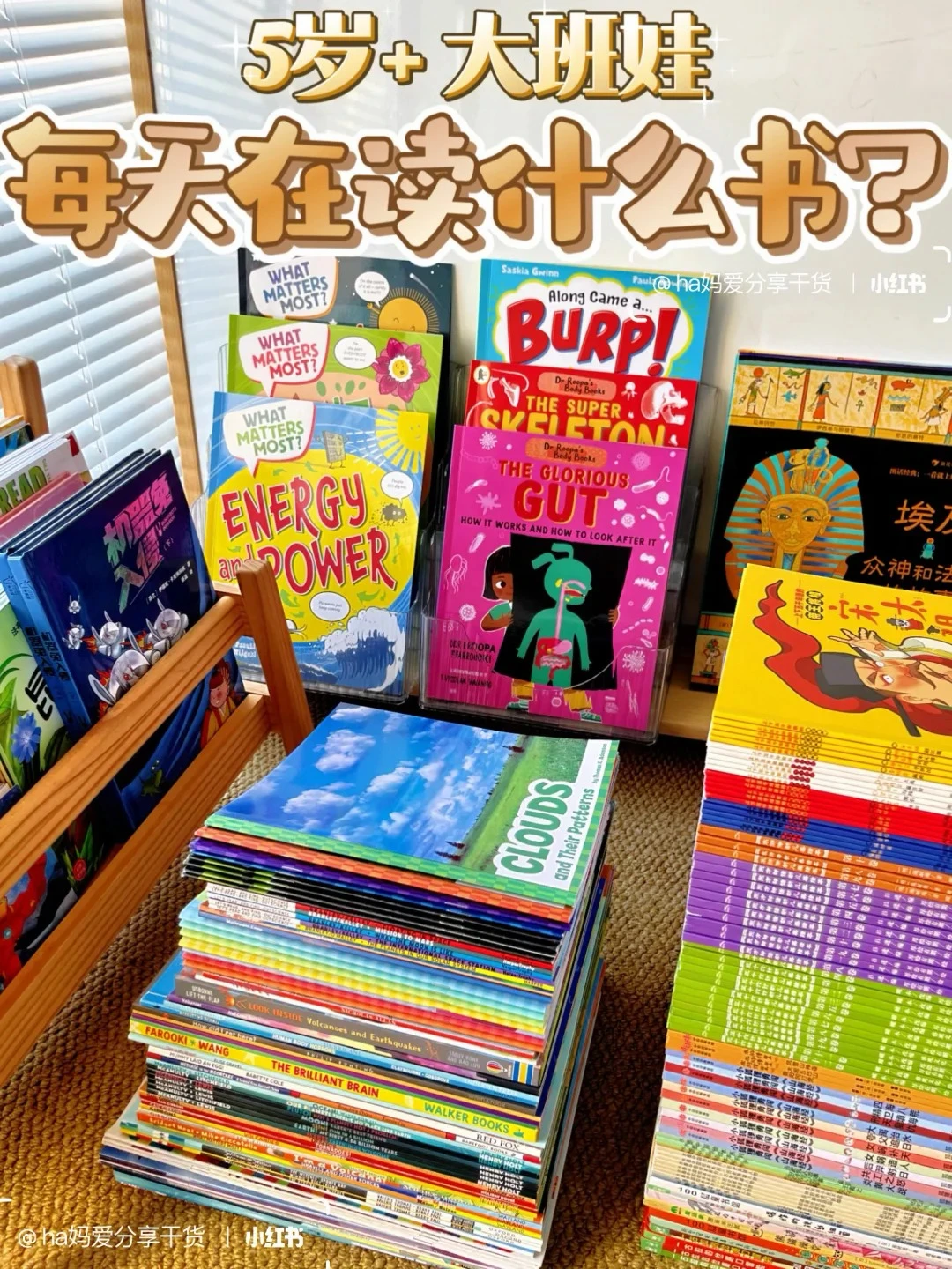 5岁大班👦每月