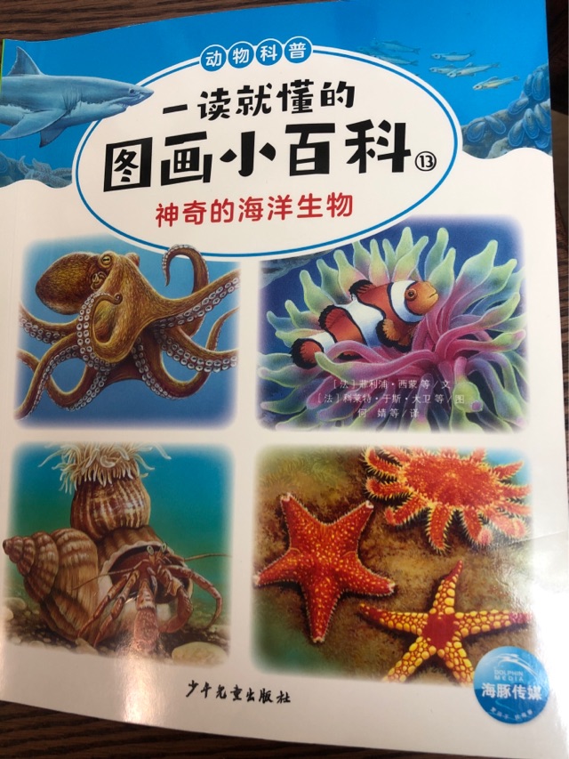 神奇的海洋生物