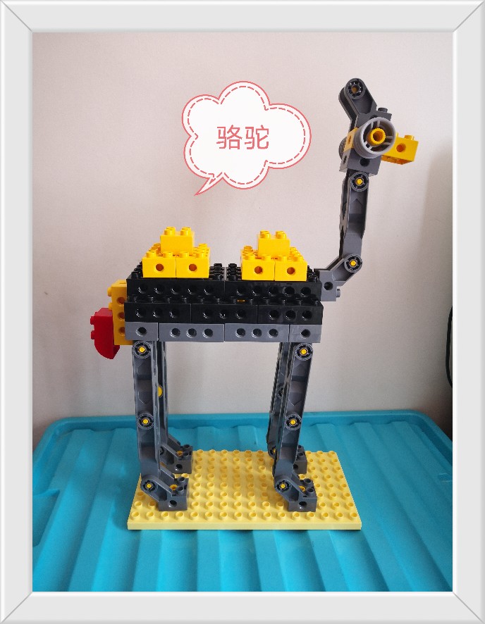 20211004打卡
