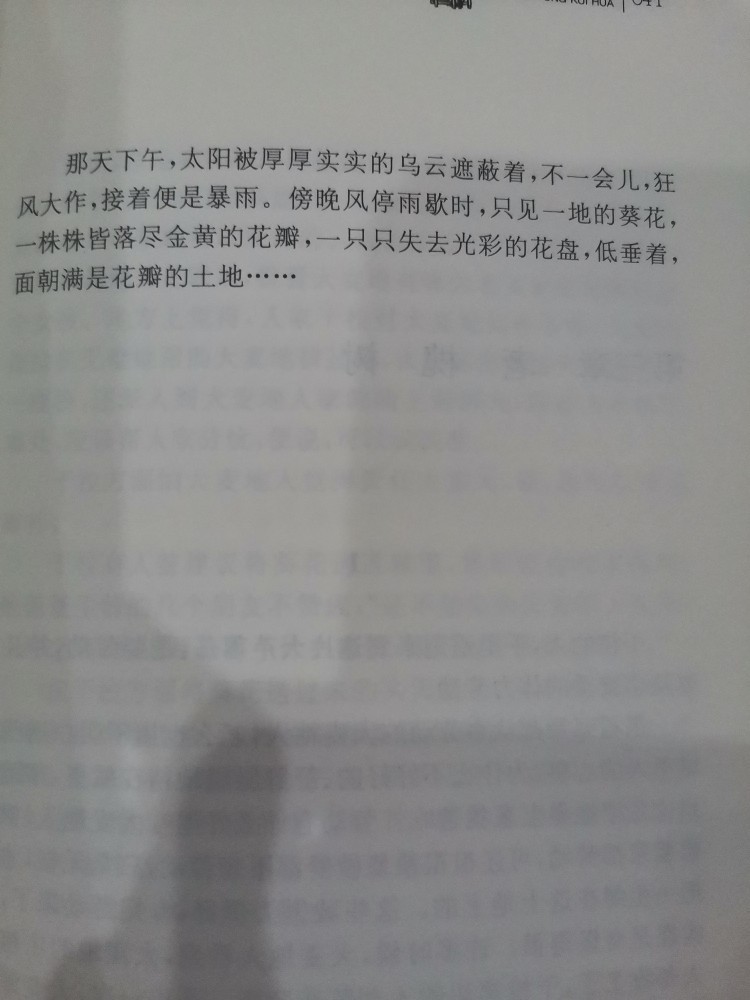 征文