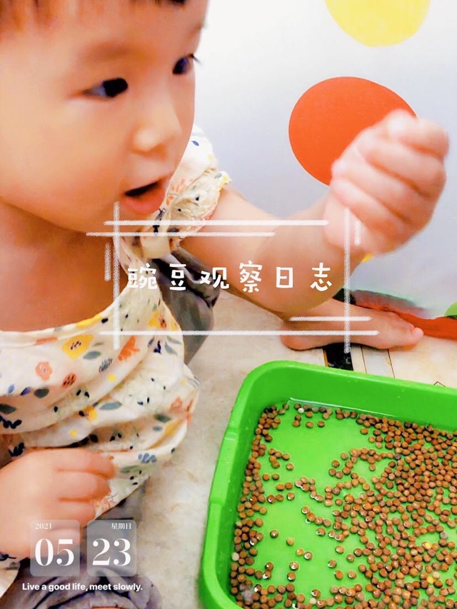 陪孩子認(rèn)識(shí)世界，