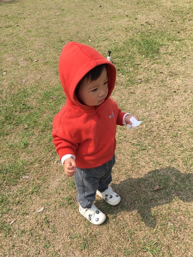 今日陪伴