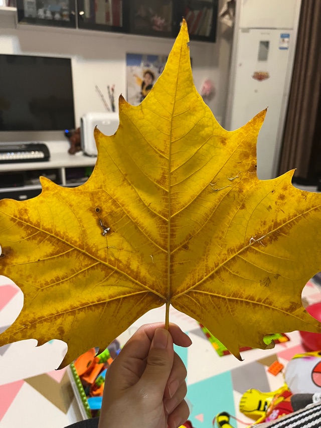 陪娃兒日記