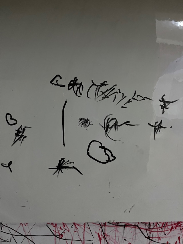 2022.2.12 ??毛