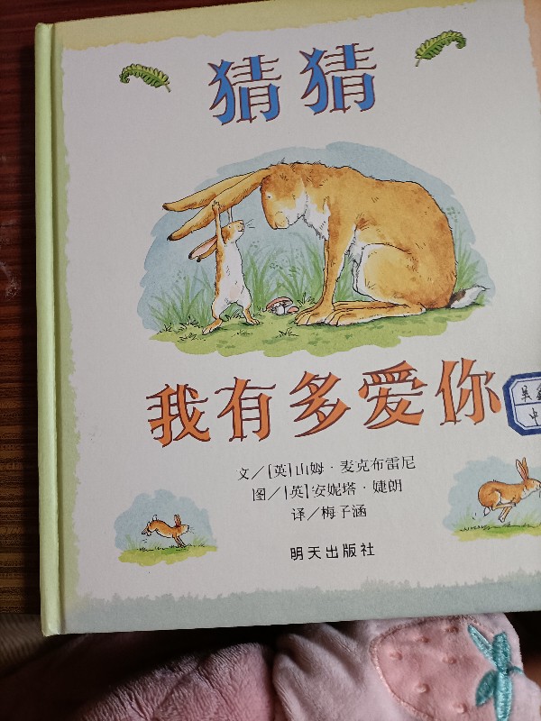 《猜猜我有多愛你