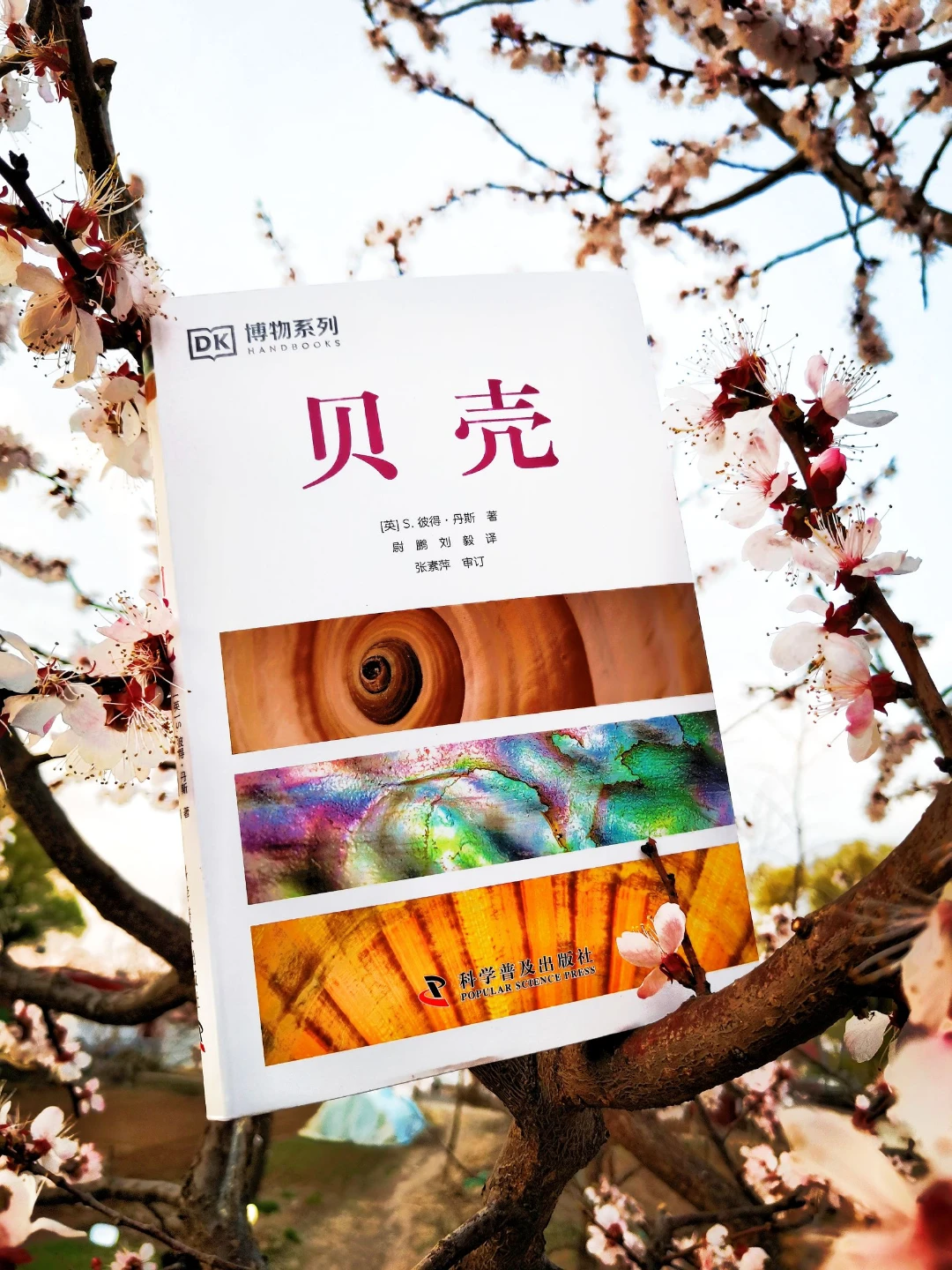 挖到宝！这本DK贝