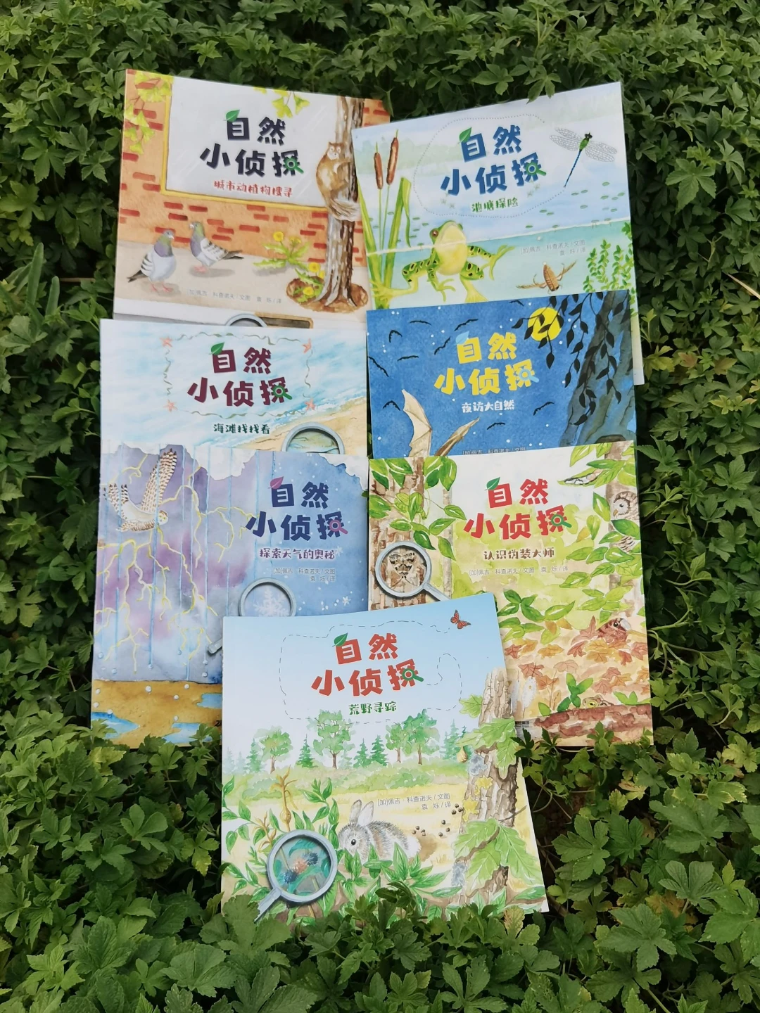 让娃放下手机，跟