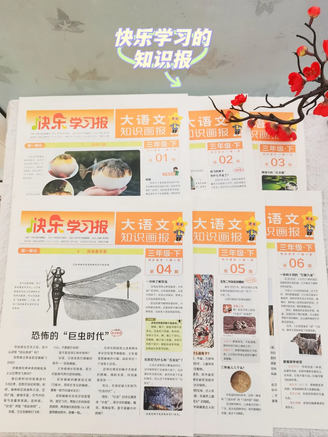 宝藏报刊大揭秘｜