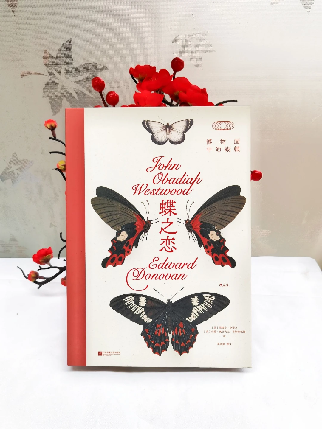 惊艳！《蝶之恋》