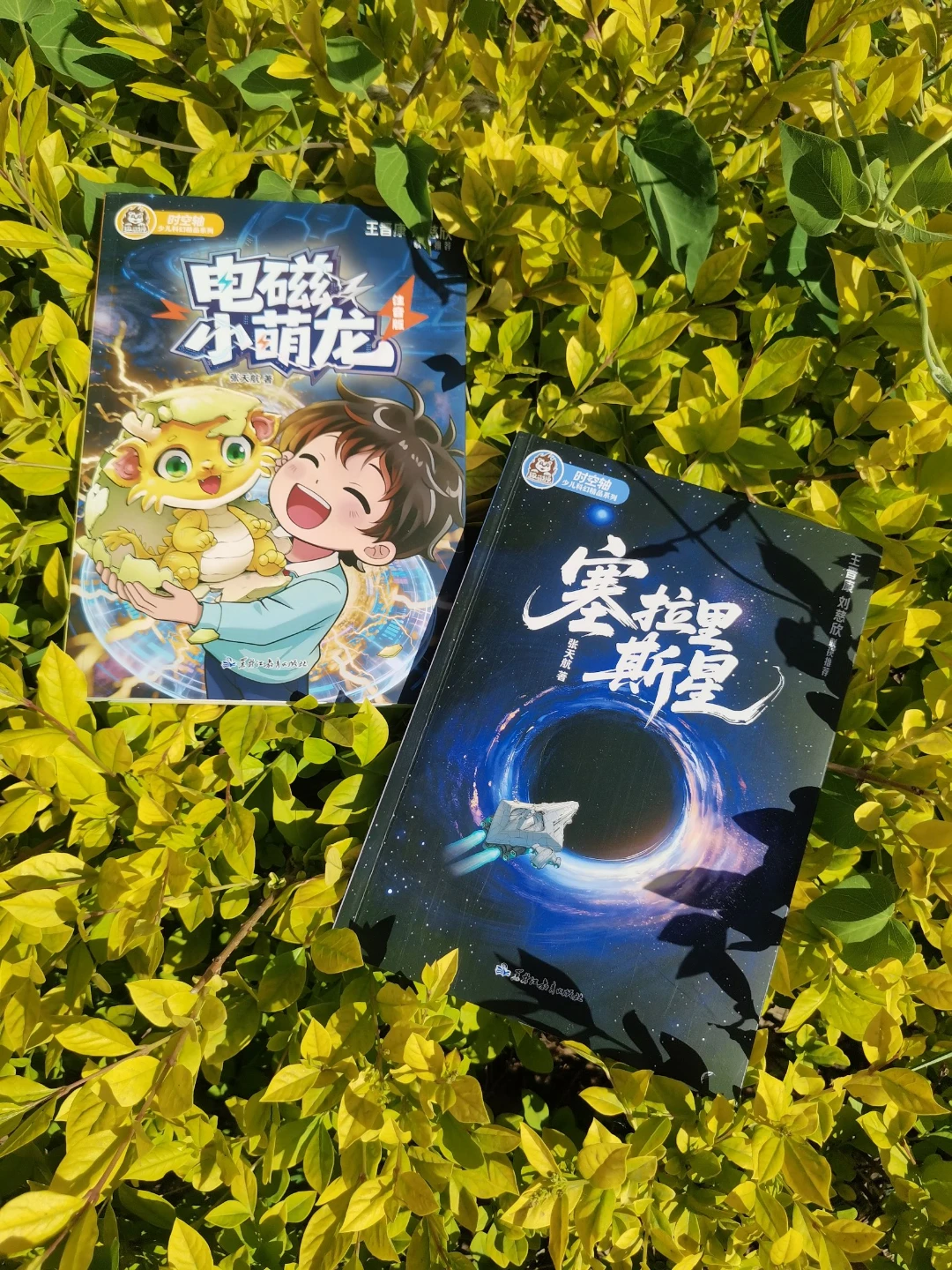 两本少儿科幻书，