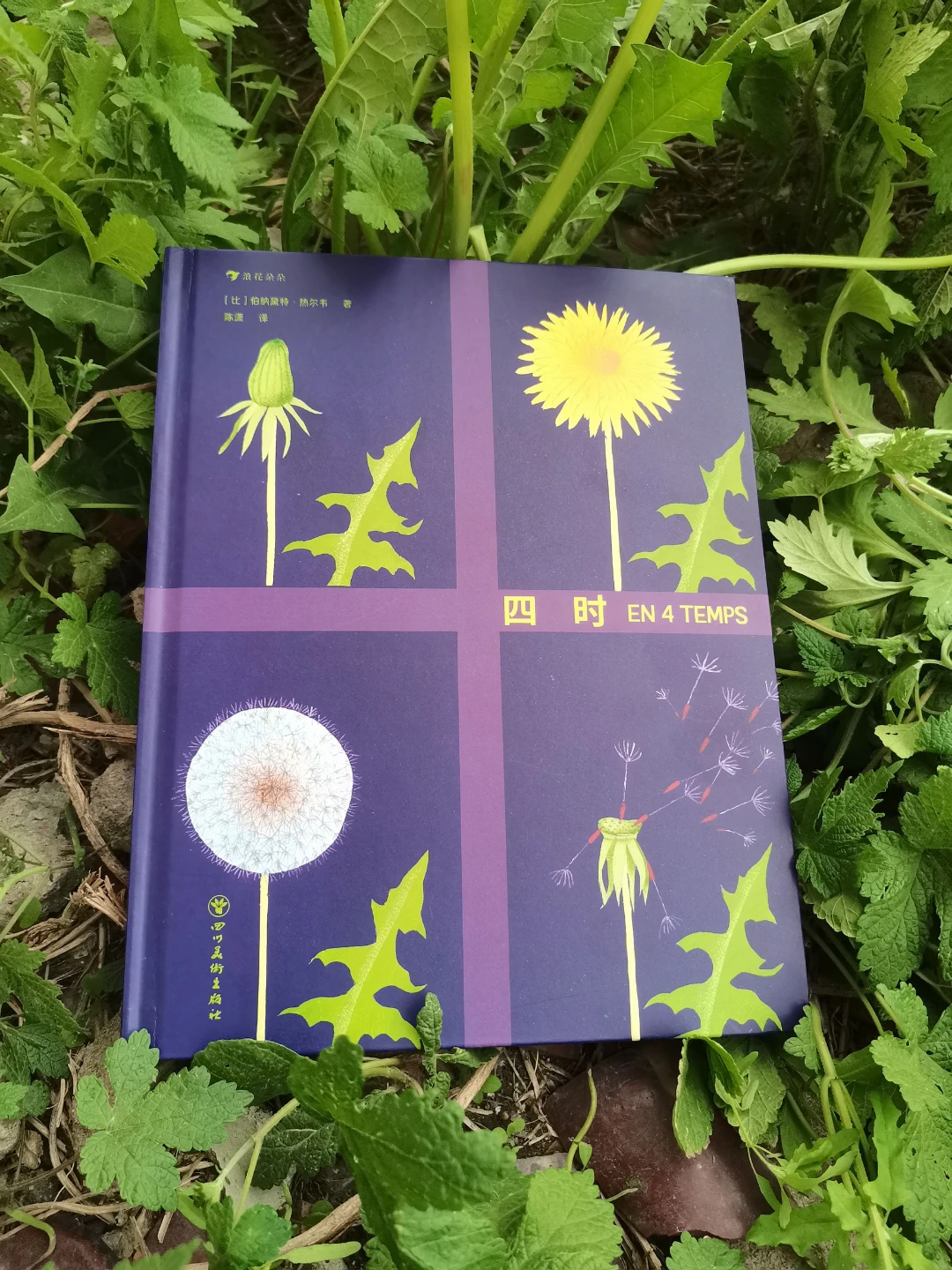 冲着画风入手的书