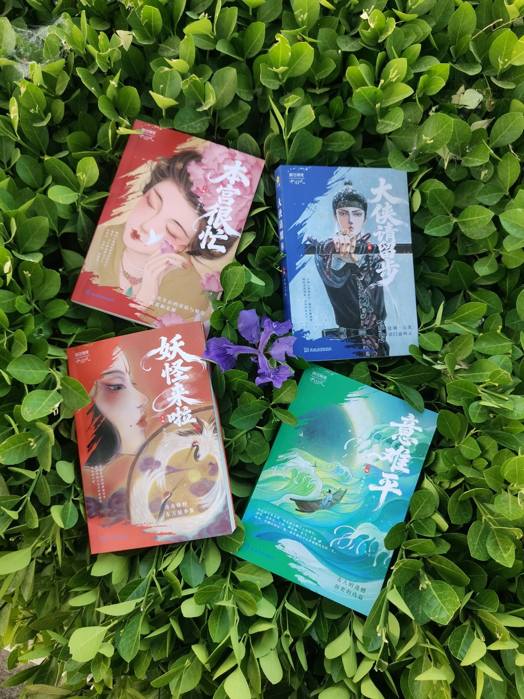 《中国风疯狂阅读