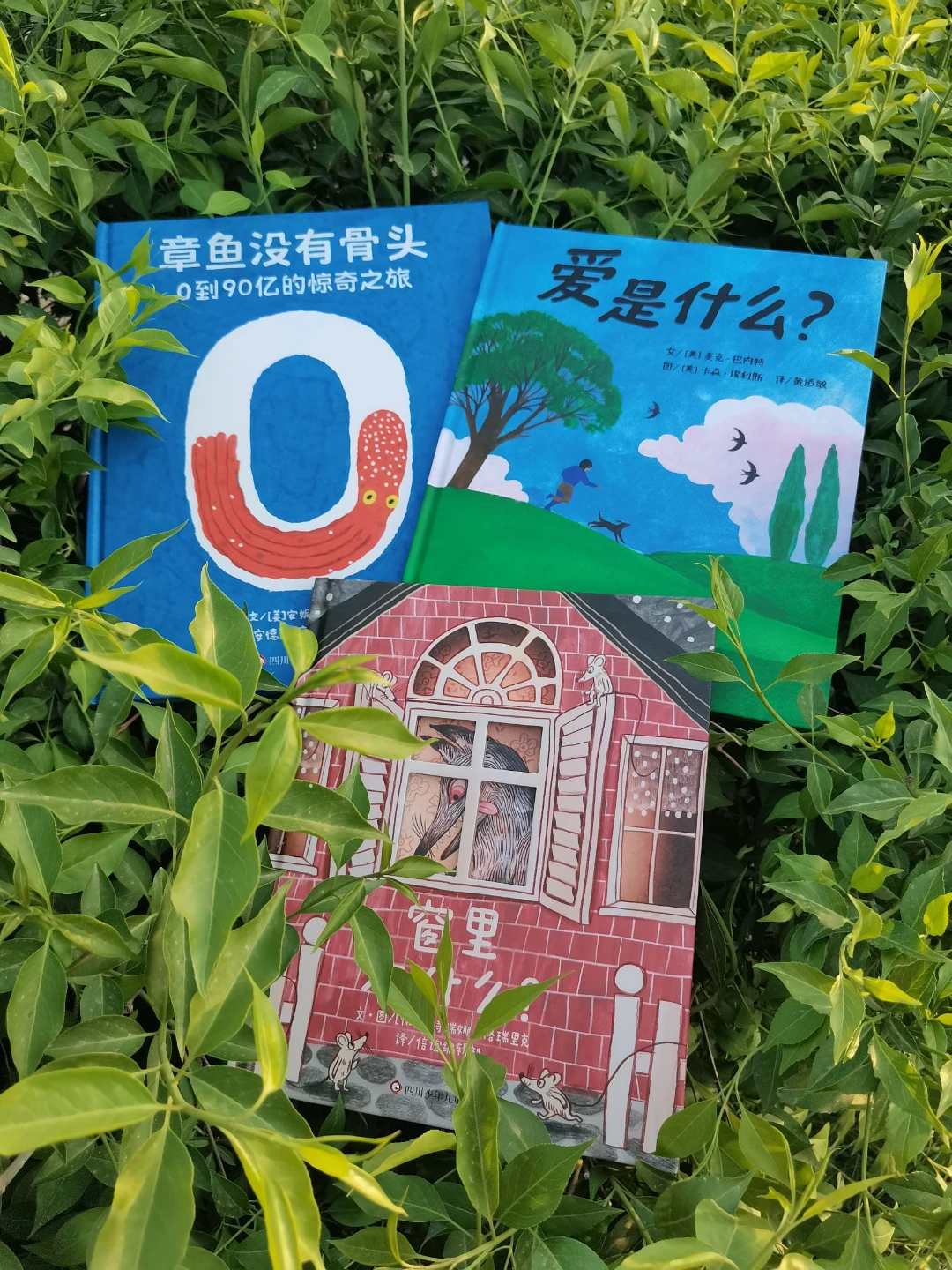 今天世界读书日。