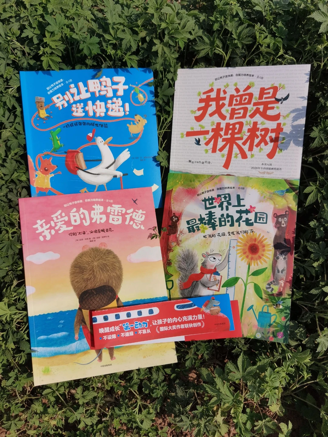 《别让鸭子送快递