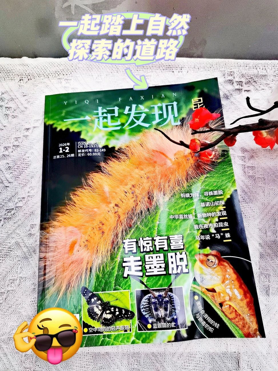 走进大自然，昆虫