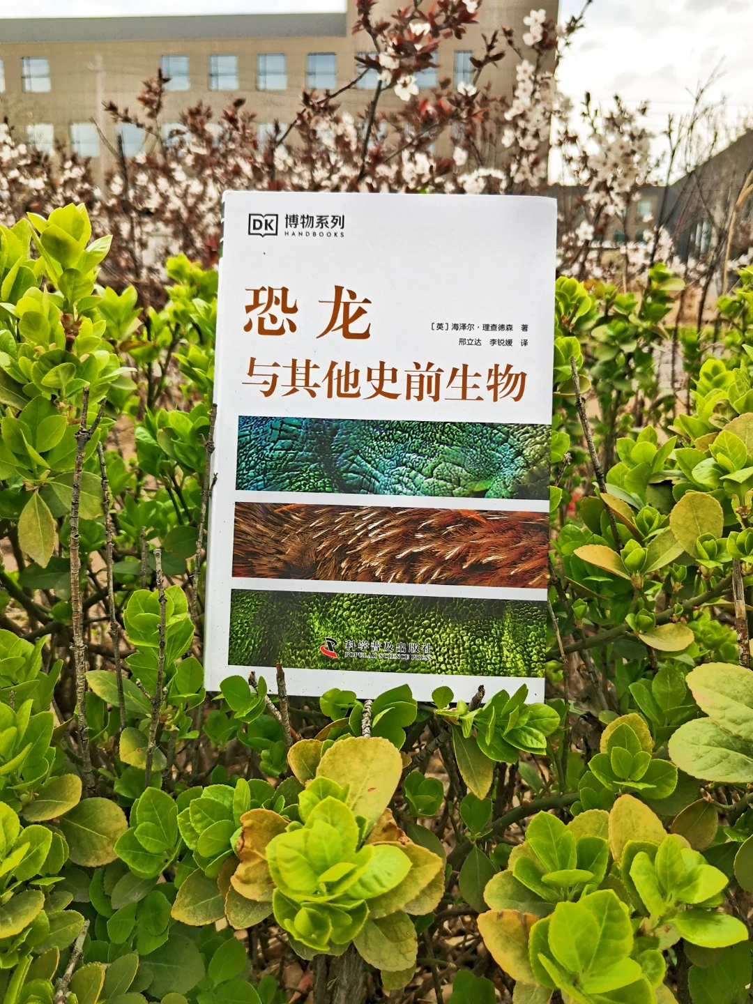 《恐龙与其它史前