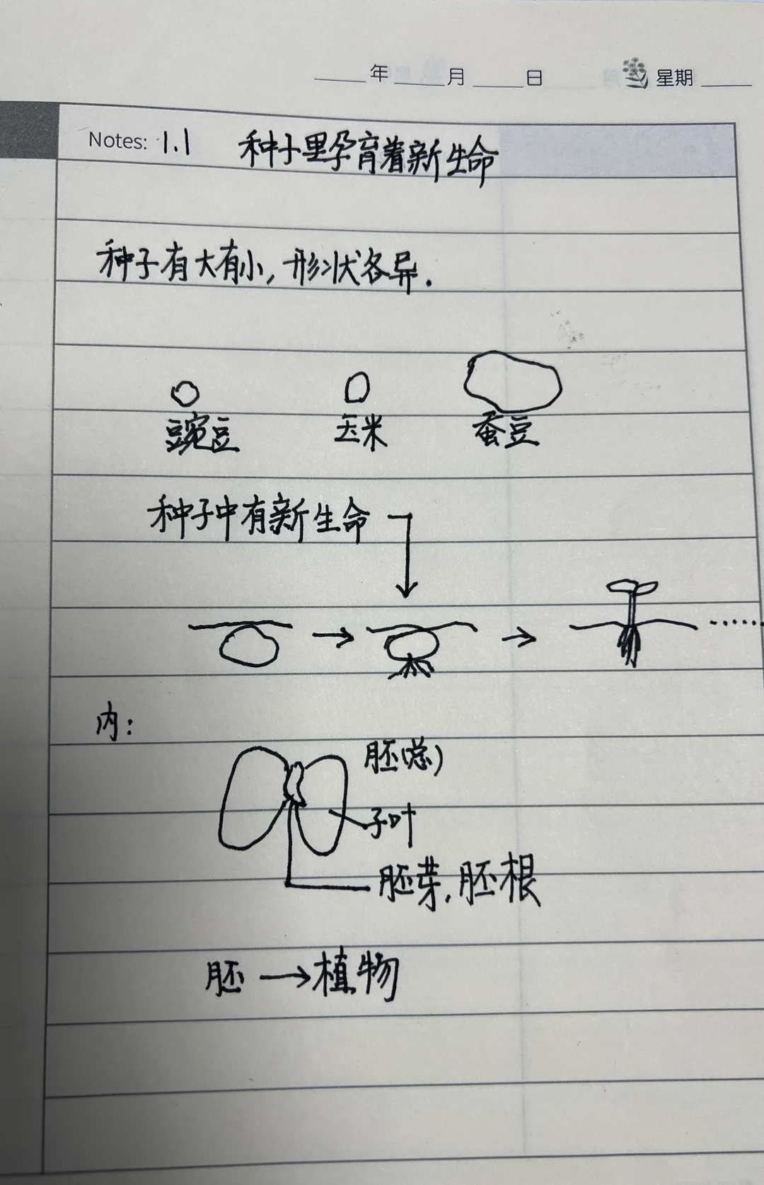 科學(xué)筆記（一）