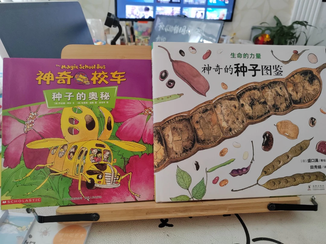 閱讀筆記——種子