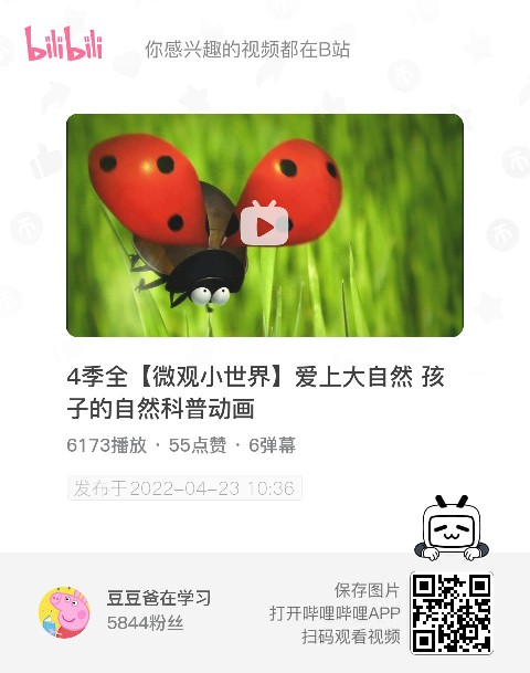 最近看的電視節(jié)目