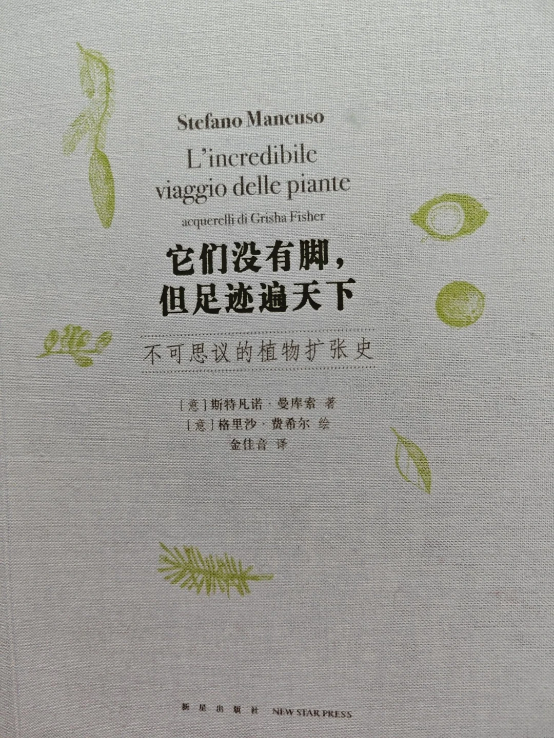 它们没有脚，但足