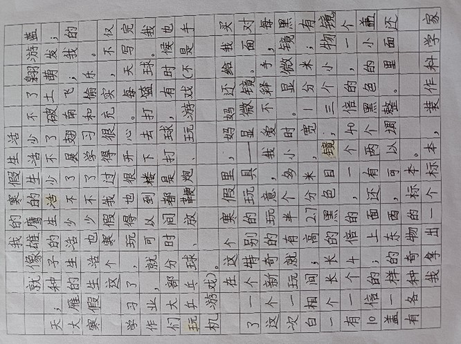 四上寒假作文一一