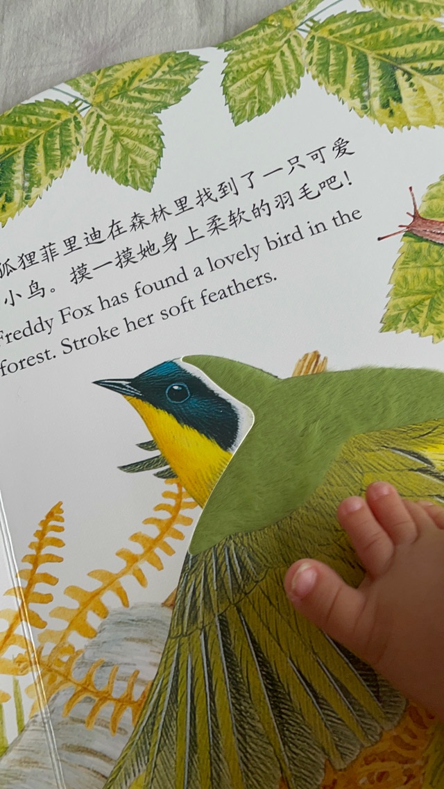 陪寶貝讀書第3天