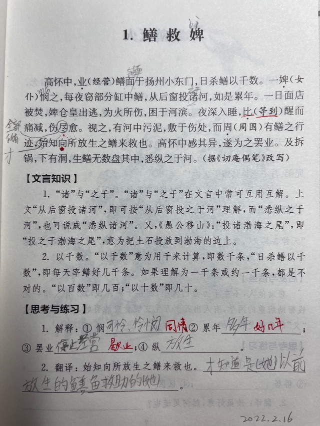 50-2《鱔救婢