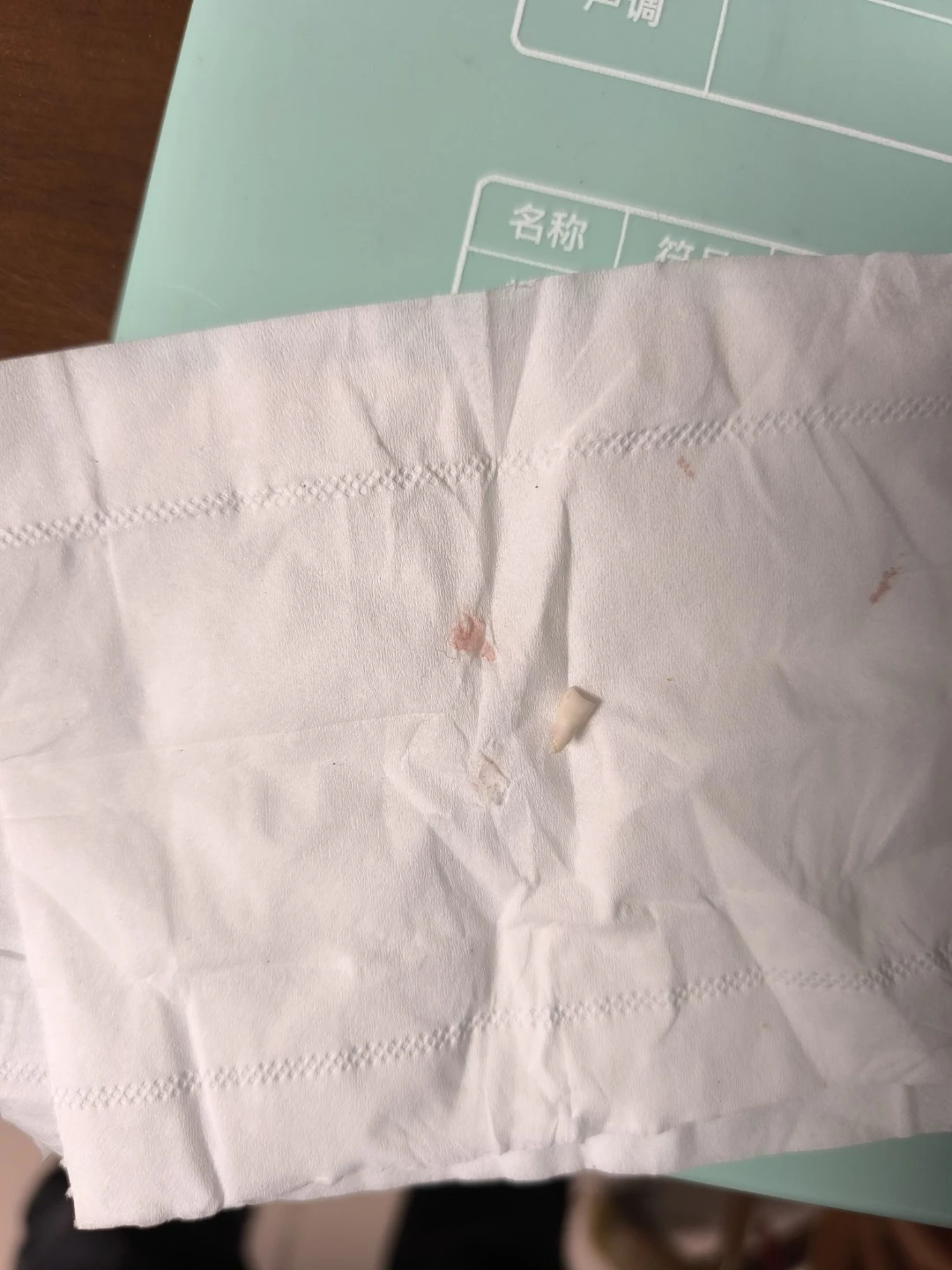 2025.1.6豆豆掉了