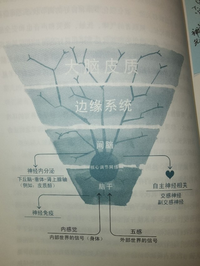 漫長(zhǎng)而偉大的青春