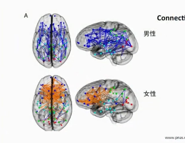 漫長而偉大的青春