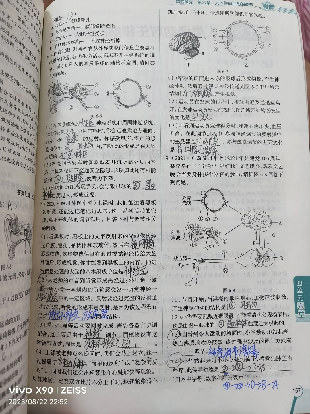 生物2 4下week18 