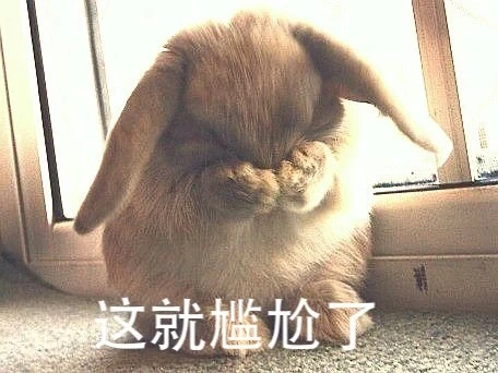 教育隨筆：熱愛閱