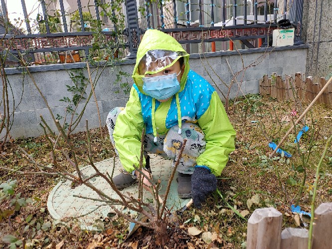 花兒與少年