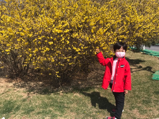 小妞儿的植物科普