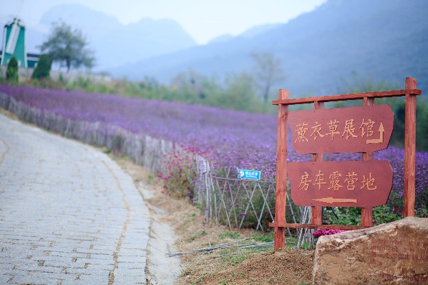 野餐和露營(yíng)