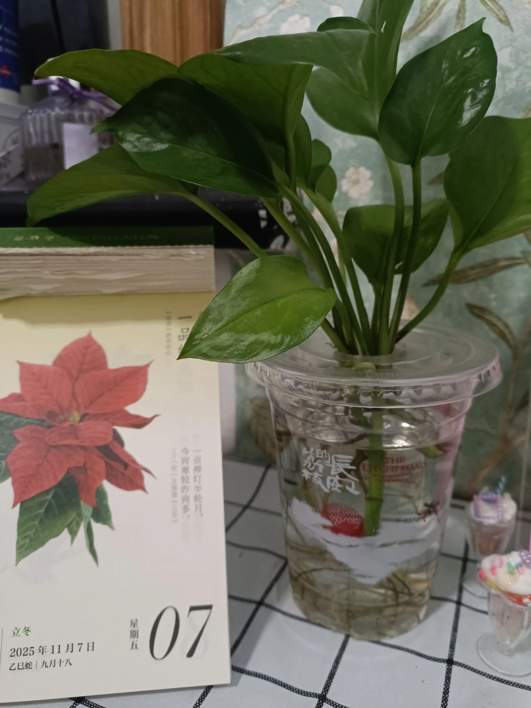 立冬，岁晚，人常