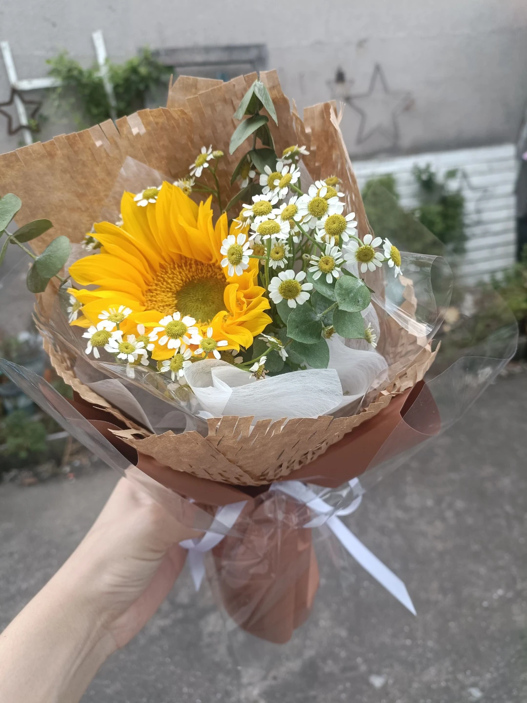 拥有苹果时，只在