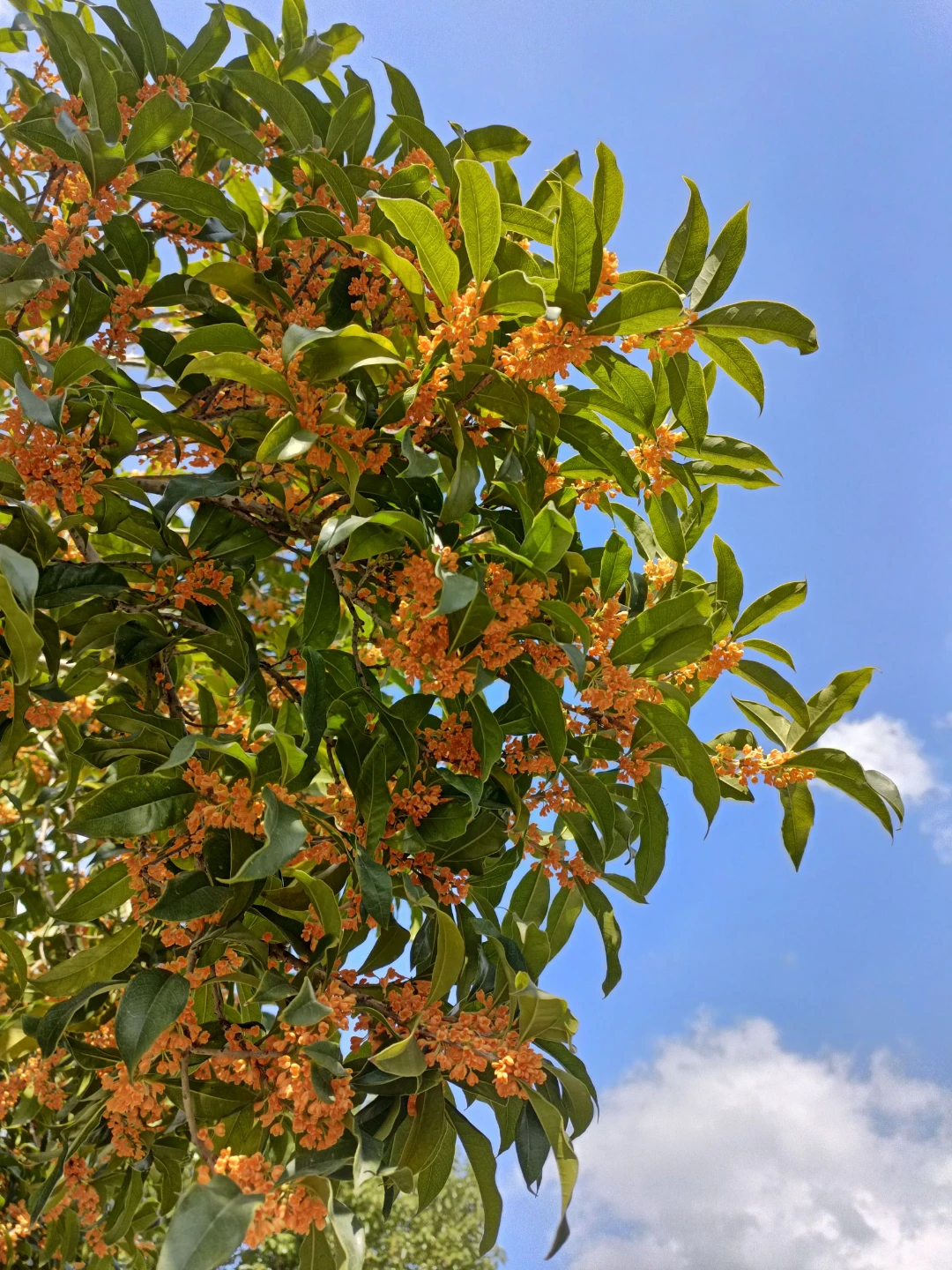 天气好极了，钱几