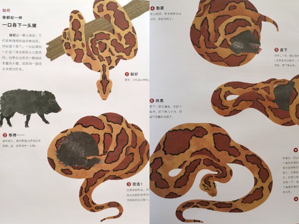 那些有趣不枯燥的生物科普书
