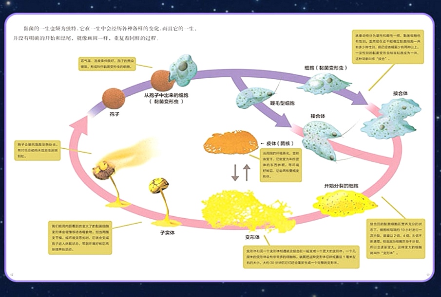 那些有趣不枯燥的生物科普书