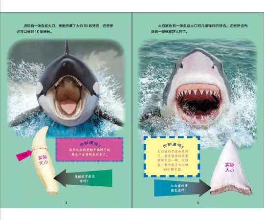 那些有趣不枯燥的生物科普书