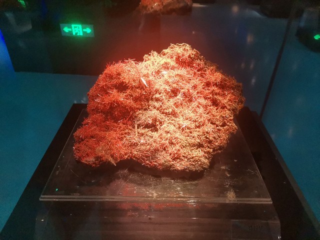 呼和浩特（下）