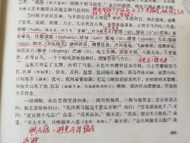 讀西游，趣仿寫（