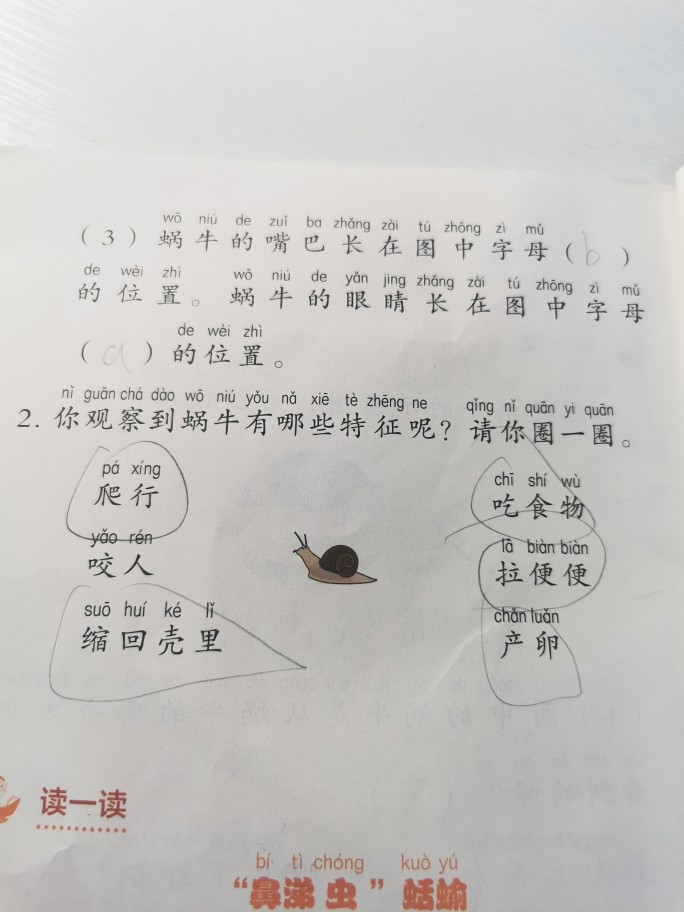做科學(xué)作業(yè)有感