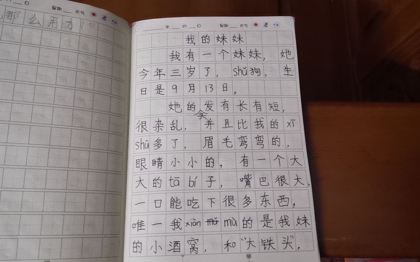 我的妹妹（二下暑