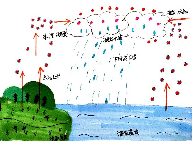 雨是从哪里来:初步了解雨水形成过程涵涵画的:1