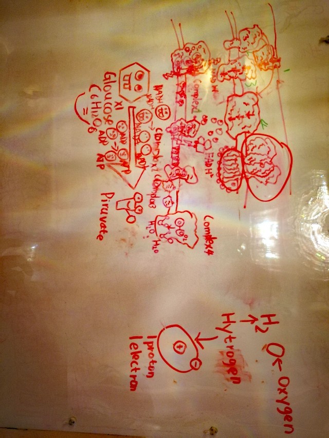 娃最近畫的畫