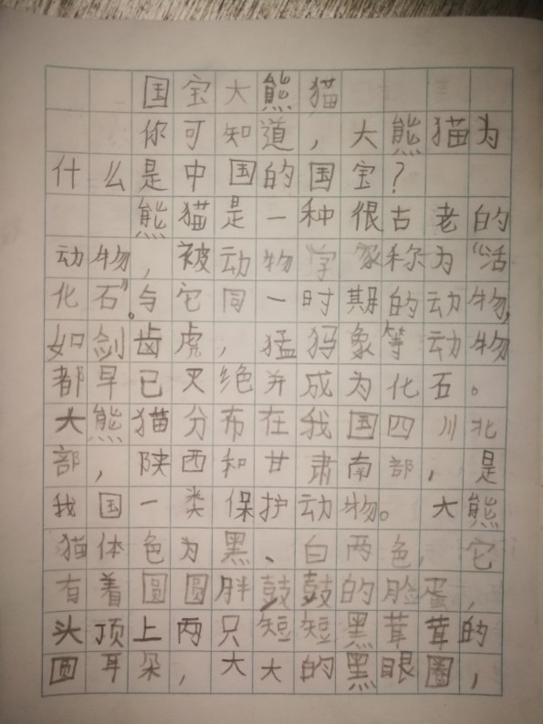 幾篇作文+日記一