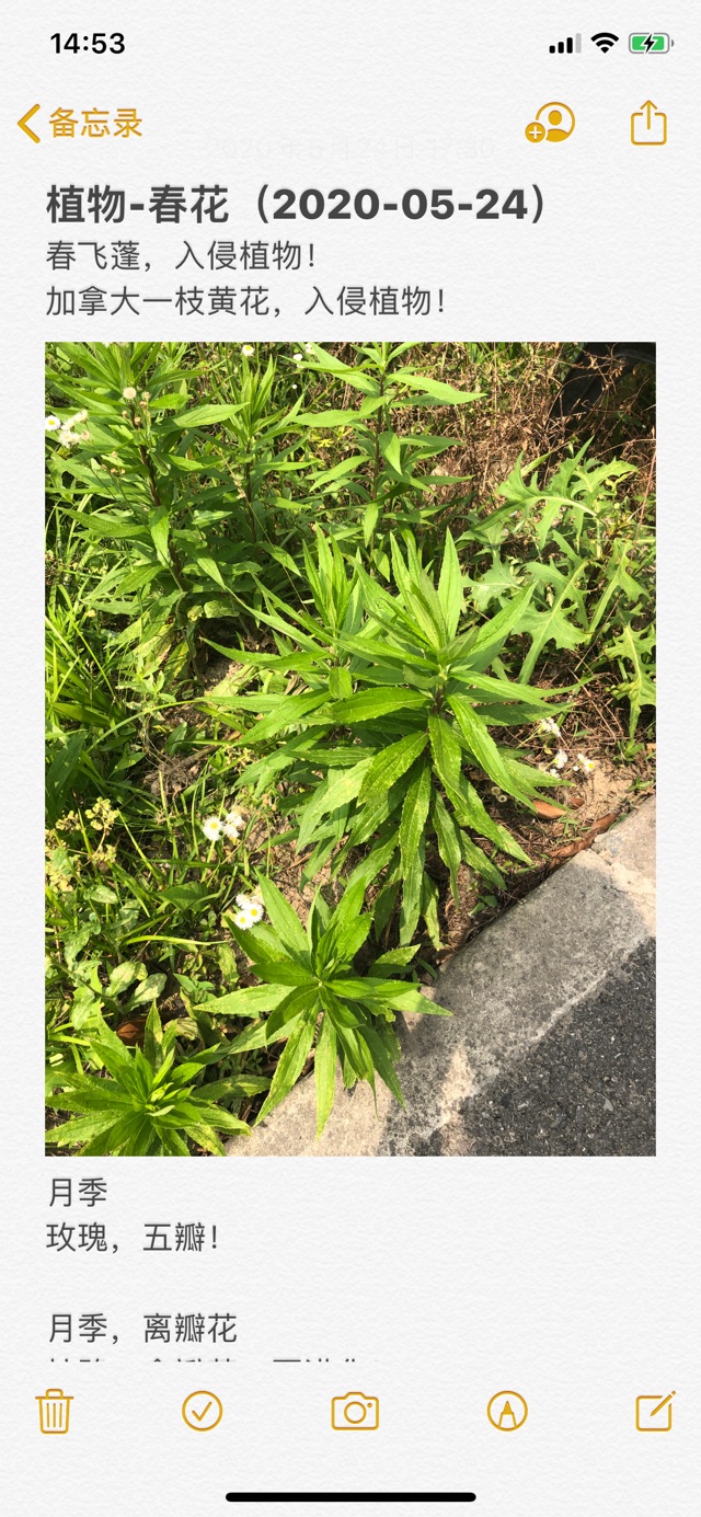 老母親生存必備Ap