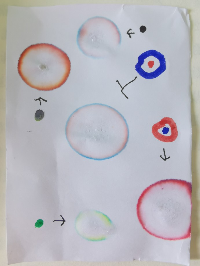 記一次科學(xué)發(fā)現(xiàn)